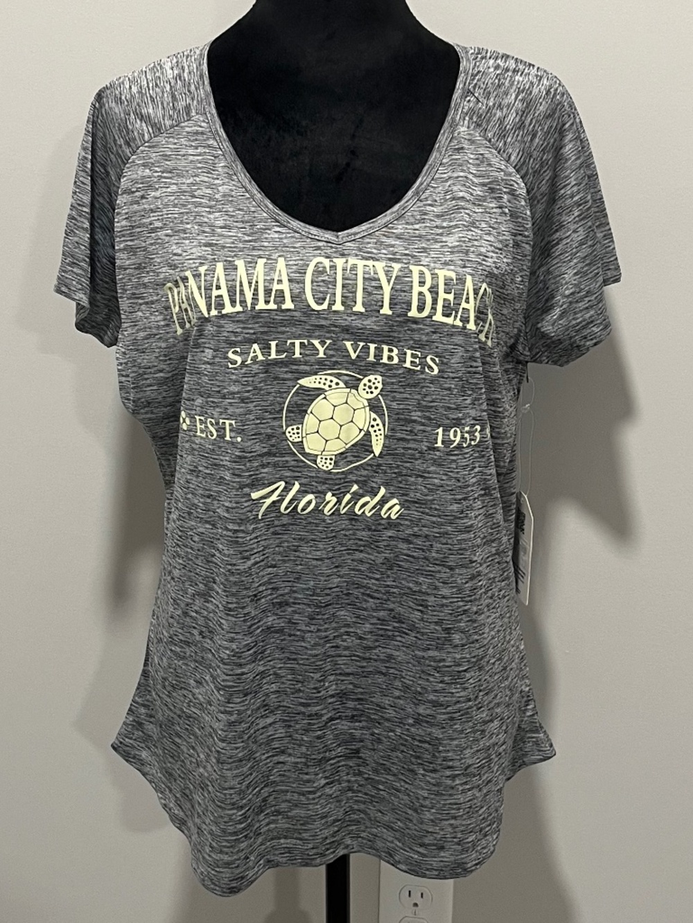 Palm City Florida Gray T-shirt Size XXL NWT